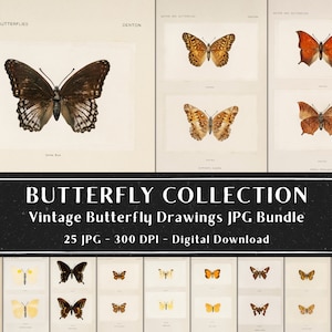 Vintage Butterfly Drawings Bundle, 25 Butterfly Image, Butterflies Art, Digital Paper, Instant Download