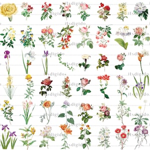 65 Vintage Flowers PNG Images, Fussy Cut Clipart, Digital Stickers for Note Apps, Junk Journals, Scrapbooking, Digital Download image 3