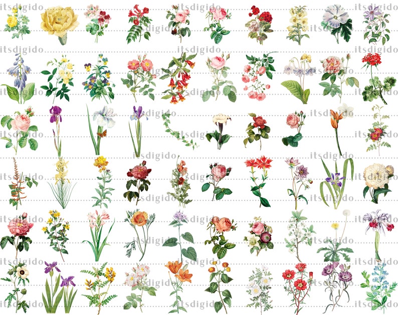 65 Vintage Flowers PNG Images, Fussy Cut Clipart, Digital Stickers for Note Apps, Junk Journals, Scrapbooking, Digital Download image 3