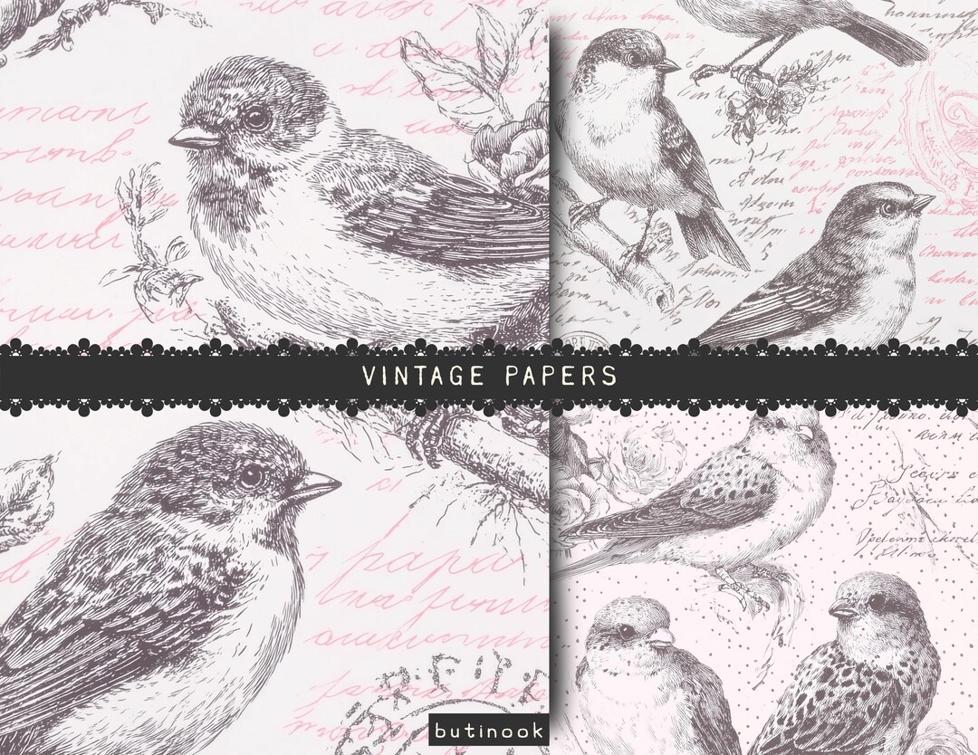 Vintage Bird Digital Paper Pack – French Ephemera Scrapbook Papers ...