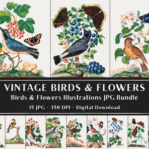 15 Vintage Vögel und Blumen Illustrationen, Pflanzenteller Antike Illustrationen, Vogel und Botanische Bilder Bundle, Sofortiger Download