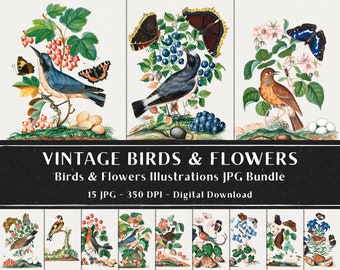 15 Vintage Birds and Flowers Illustrations, Plant Plates Antique Illustrations, Bird and Botanical Images Bundle, Instant Download