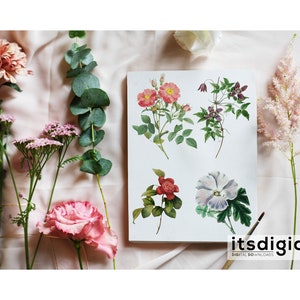 65 Vintage Flowers PNG Images, Fussy Cut Clipart, Digital Stickers for Note Apps, Junk Journals, Scrapbooking, Digital Download image 2
