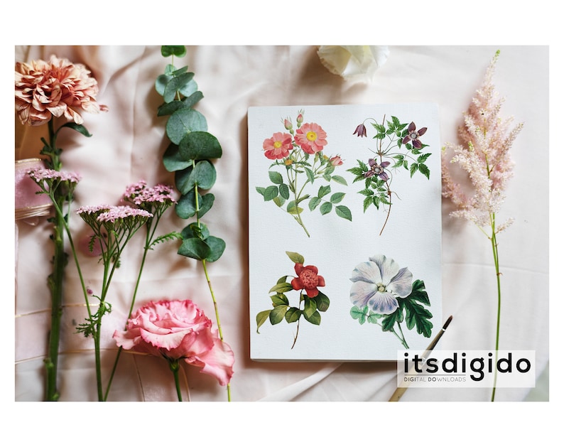 65 Vintage Flowers PNG Images, Fussy Cut Clipart, Digital Stickers for Note Apps, Junk Journals, Scrapbooking, Digital Download image 2