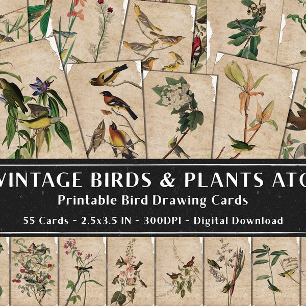 55 Beautiful Vintage Birds and Plants Illustrations Digital ATC Prints, Crafting Cards, Collage Sheet, Botanical Nature, Instant Download