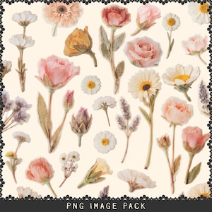 Puede incluir: Una colección de varias flores de acuarela en tonos rosa, melocotón, amarillo y blanco, incluyendo rosas y margaritas. La imagen tiene un fondo beige claro y el texto "PNG IMAGE PACK" en la parte inferior. Varios elementos florales están presentes.