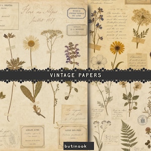 May include: A collection of vintage-style papers featuring botanical illustrations of various wildflowers, ferns, and herbs. The beige, aged-look paper includes handwritten cursive script, printed labels, and stamps, with flowers secured by tape.