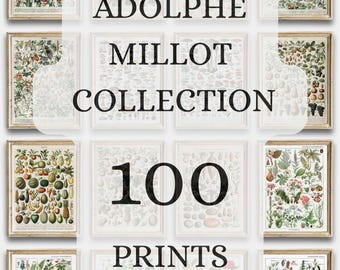 Adolphe Millot Botanical Prints, Vintage Gallery Wall Art Set Of 100, Botanical Plant Poster, Adolphe Millot Nature, Bundle Larousse Of 100