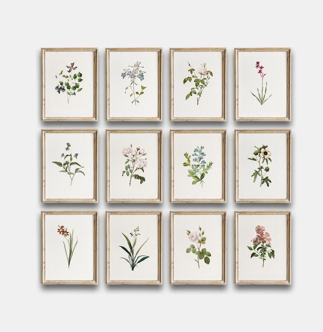 Vintage Botanical Printable, Vintage Flowers Gallery Wall Art Set of 12 ...