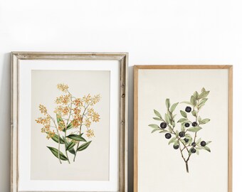 Vintage Botanical Printable, Vintage Prints Gallery Wall Art Set Of 2, Botanical Print Wall Art, Antique Floral Poster