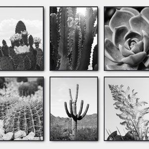 Cactus Desert Photo, Arizona Desert Black And White Prints, Gallery Wall Art Set Of 6, Saguaro Black And White Wall Art