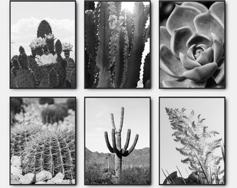 Cactus Desert Photo, Arizona Desert Black And White Prints, Gallery Wall Art Set Of 6, Saguaro Black And White Wall Art