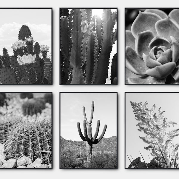 Cactus Desert Photo, Arizona Desert Black And White Prints, Gallery Wall Art Set Of 6, Saguaro Black And White Wall Art