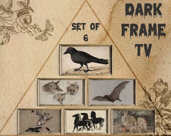 Samsung Frame Tv Art Dark, Cottagecore Nature Set Of 6, Gothic Tv Download, Frame Tv 4K, Samsung Dark Academia Decor