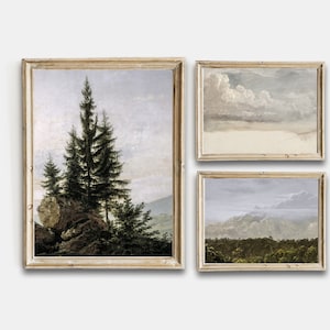 Op de afbeelding: Een set van drie ingelijste landschapschilderijen. Het eerste schilderij toont een boslandschap met twee hoge dennenbomen op de voorgrond en een bergketen op de achtergrond. Het tweede schilderij toont een bewolkte lucht met een lichtblauwe achtergrond. Het derde schilderij toont een bergketen met een bos op de voorgrond en een bewolkte lucht op de achtergrond.