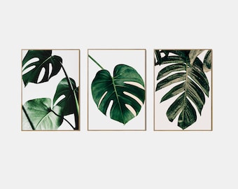 May include: Three framed prints of green monstera leaves on a white background. The leaves are arranged in a staggered pattern, with the largest leaf in the center.