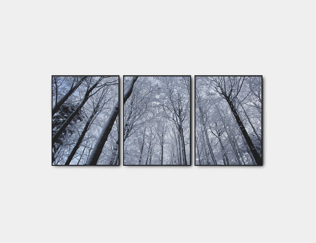 Winter Gallery Wall Art Set of 3, Modern Winter Forest Poster, Pine ...