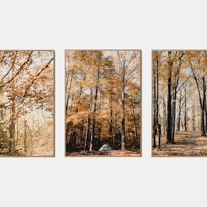 Conjunto imprimible de paisaje de otoño, conjunto de arte de pared de la galería de otoño de 3, cartel del bosque de otoño, impresiones digitales de la naturaleza de otoño
