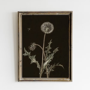 Dunkle Pusteblume, stimmungsvolle Vintage druckbare Wandkunst, dunkle Academia Dekor Malerei, stimmungsvoller Blumendruck, botanischer Goth Druck