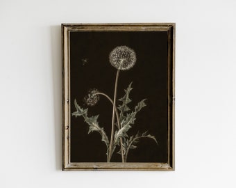 Dark Dandelion, Moody Vintage Printable Wall Art, Dark Academia Decor Painting, Moody Floral Print, Botanical Goth Print