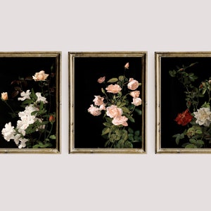 Moody Vintage Floral Print, Dark Printable Gallery Wall Art Set Of 3, Dark Academia Decor Set, Botanical Goth Painting