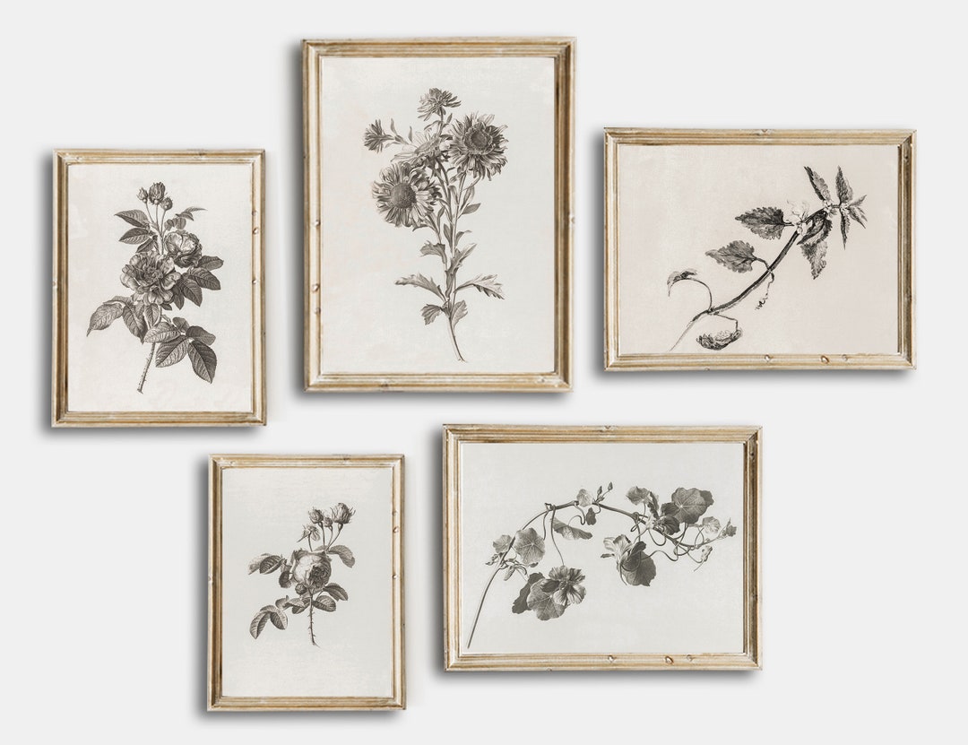 Vintage Sketch Country Flowers Printable, Vintage Botanical Gallery ...