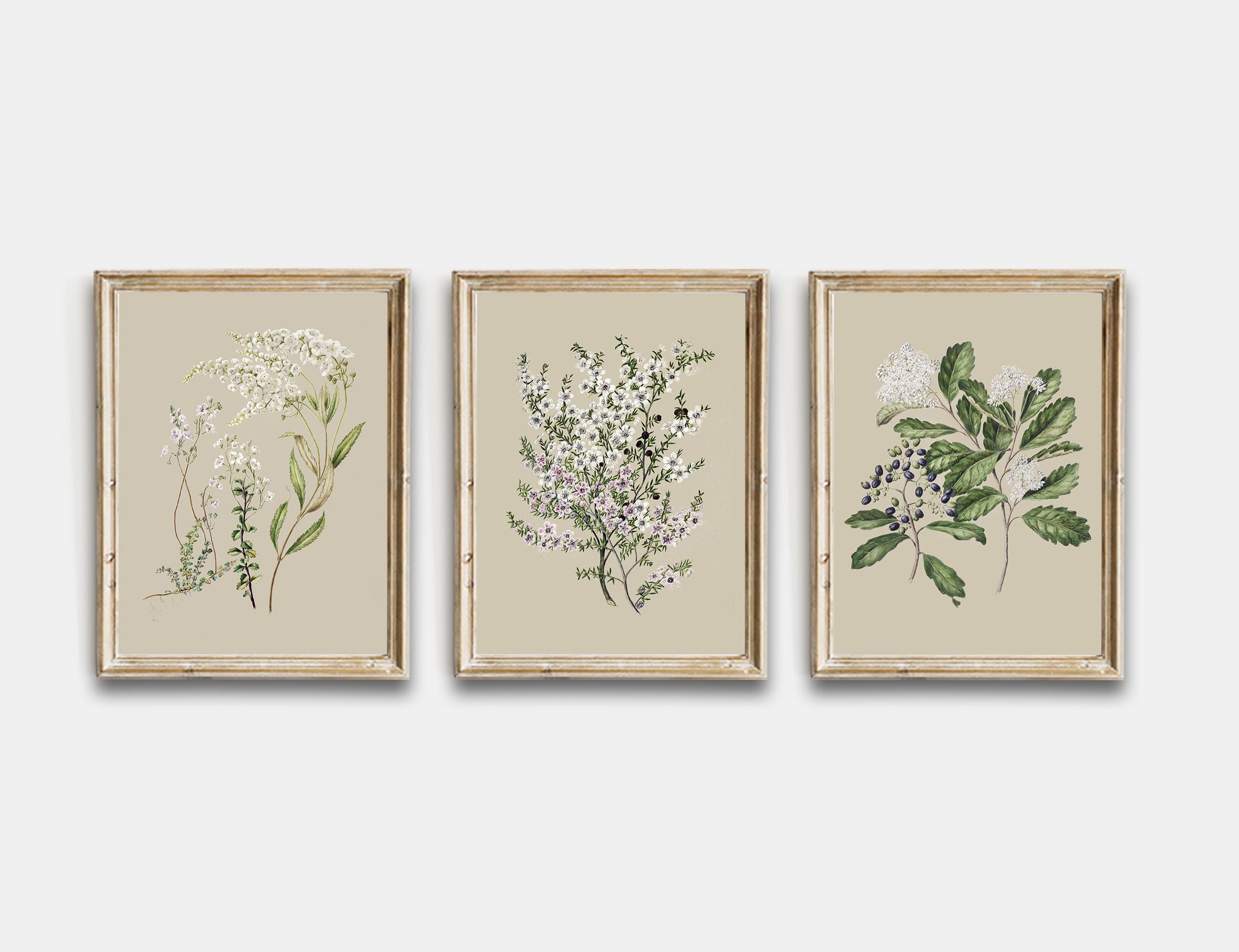 Vintage Botanical Printable, Vintage Flowers Gallery Wall Art Set of 6 ...