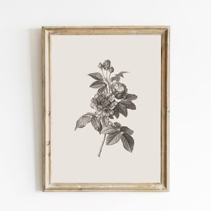 Vintage Sketch Country Flowers Printable, Vintage Botanical Gallery ...