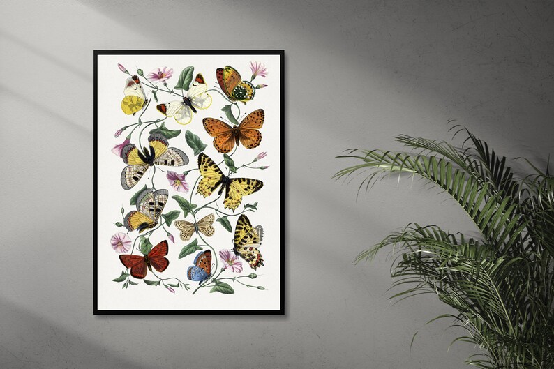 Vintage Botanical Printable, Vintage Butterflies Gallery Wall Art Set ...