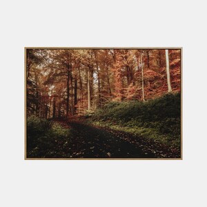 Herbst Landschaft druckbare, druckbare Herbst Landschaft Wandkunst, Straße im Herbst Poster, Herbst Natur digitaler Download Druck