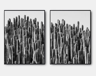 Cactus Desert Photography, Arizona Desert Black And White Prints, Gallery Wall Art Set Of 2, Black And White Wall Art