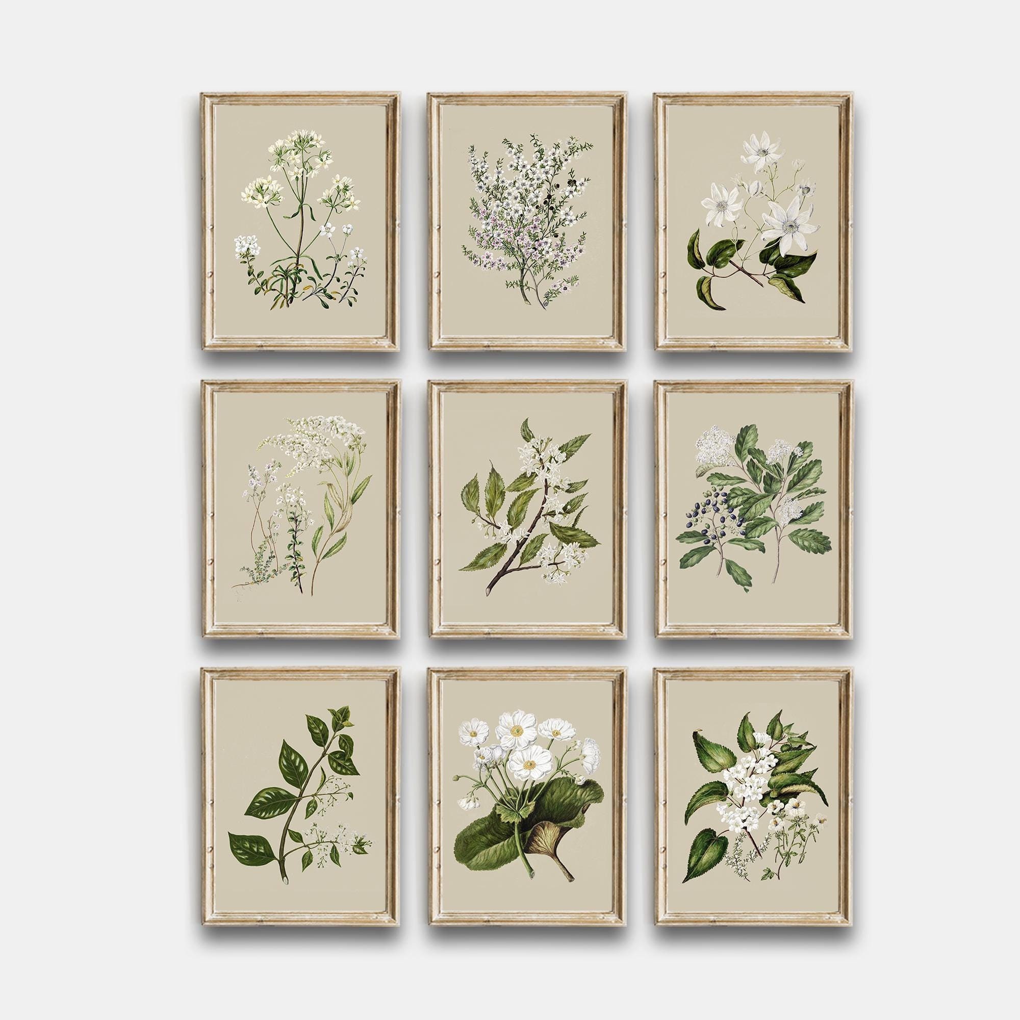 Vintage Botanical Printable, Vintage Flowers Gallery Wall Art Set of 9 ...