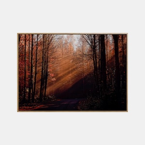 Paisaje de otoño imprimible, arte de pared de paisaje imprimible de otoño, cartel del bosque de otoño, impresión de descarga digital de la naturaleza de otoño