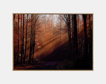 Herfstlandschap afdrukbaar, herfst afdrukbare landschapskunst aan de muur, herfstbosposter, herfstnatuur digitale downloadprint