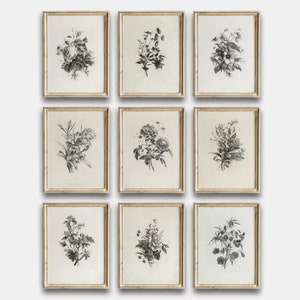 Vintage Sketch Country Flowers Printable, Vintage Botanical Gallery Wall Art Set Of 9, Neutral Flowers Drawing Prints