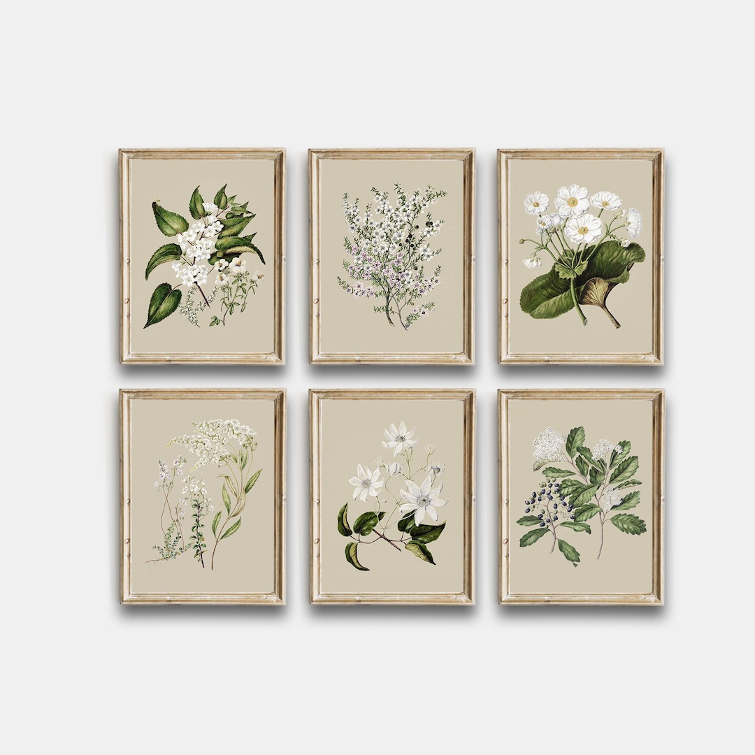 Vintage Botanical Printable, Vintage Flowers Gallery Wall Art Set of 6 ...