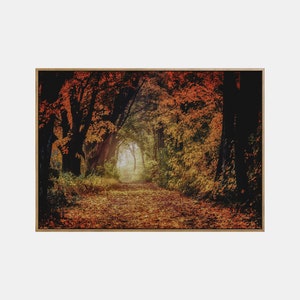 Paisaje de otoño imprimible, arte de pared de paisaje imprimible de otoño, cartel del bosque de otoño, impresión de descarga digital de la naturaleza de otoño