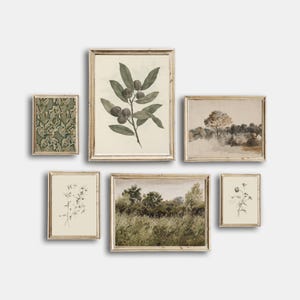 Vintage Sketch Country Flowers Printable, Vintage Botanical Gallery Wall Art Set Of 6, Neutral Flowers Drawing Prints