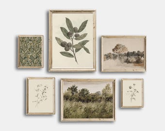 Vintage Sketch Country Flowers Printable, Vintage Botanical Gallery Wall Art Set Of 6, Neutral Flowers Drawing Prints