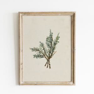 Winter Branch Print, Christmas Vintage Printable, Antique Christmas Poster, Winter Xmas Vintage Wall Art, Holiday Winter