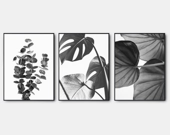 Set of 3 Botanical Palm Leaf Prints Wall Art Bedroom Living Room Dining ...