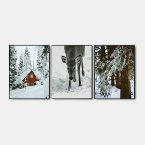 Navidad nórdica imprimible, galería de arte de pared conjunto de 3, impresiones de Navidad, cartel del bosque de invierno, impresión de renos, arte de pinos