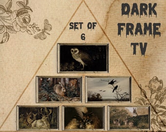 Samsung Frame Tv Art Dark, Cottagecore Nature Set Of 6, Gothic Tv Download, Frame Tv 4K, Samsung Dark Academia Decor