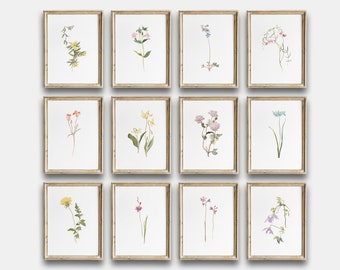 May include: Twelve framed botanical prints featuring watercolor illustrations of various flowers in shades of pink, yellow, blue, and orange. The prints are arranged in a grid pattern on a white background.