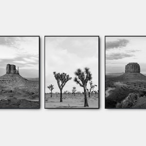 Joshua Tree Landscape Prints, Arizona Desert Black And White Prints, Gallery Wall Art Set Of 3, Black And White Wall Art