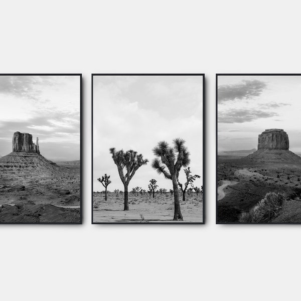 Joshua Tree Landscape Prints, Arizona Desert Black And White Prints, Gallery Wall Art Set Of 3, Black And White Wall Art
