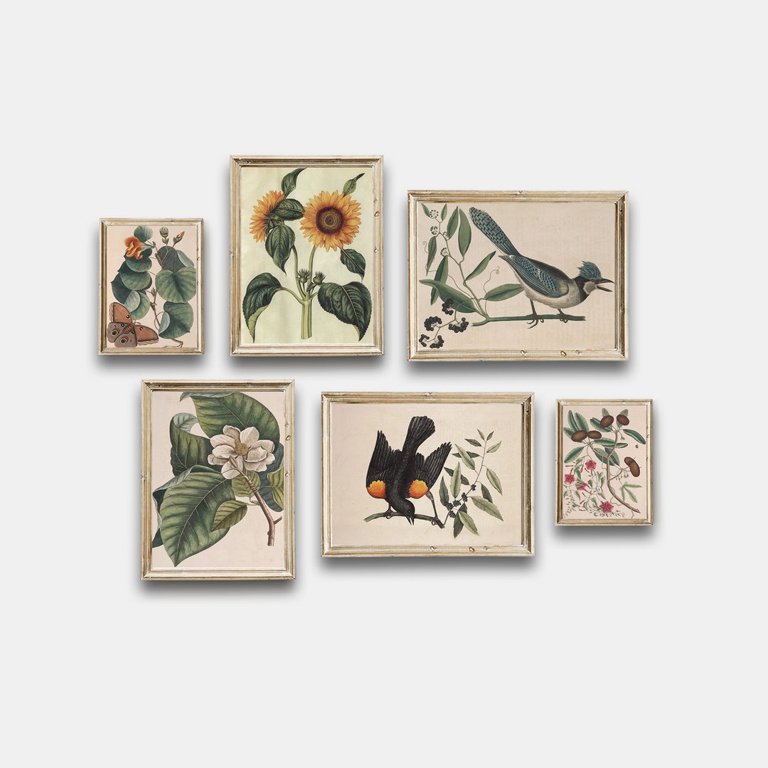 Vintage Botanical Printable, Vintage Birds Gallery Wall Art Set of 6 ...