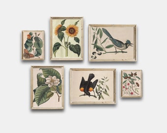 Vintage botánico imprimible, Vintage Birds Gallery Wall Art Set de 6, impresión de pájaros botánicos, cartel floral antiguo