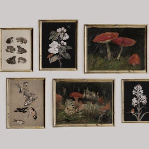 Dark Academia Decor Set, Dark Vintage Printable Gallery Wall Art Set Of 6, Cottagecore Nature Painting, Mushrooms, Birds