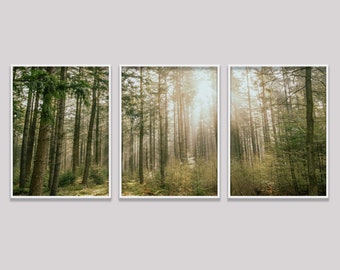 Set Of 3 Mountain Prints, Forest Wall Art Large Prints, Printable Wall Art Nature, 3 Piece Natural Landscape Forest